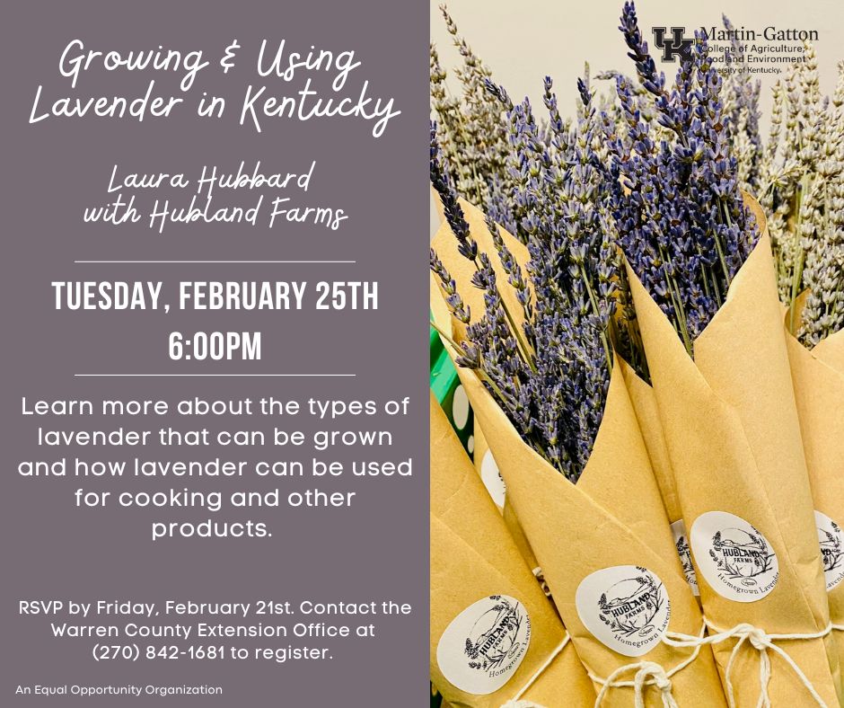 lavender class tuesday feb 25 6pm at wceo