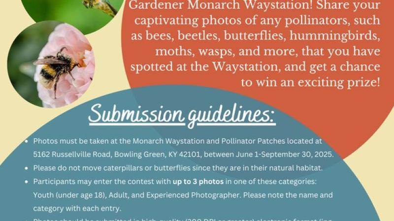 pollinator photo contest 